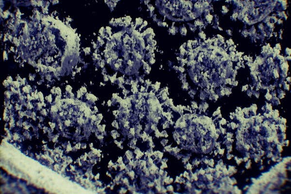 Research has found that the coronavirus infects fat cells and immune cells within body fat, causing an immune response that scientists say may contribute to severe disease.