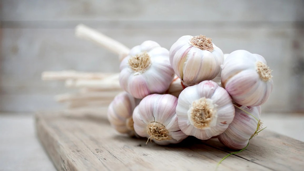 whole garlic bulbs